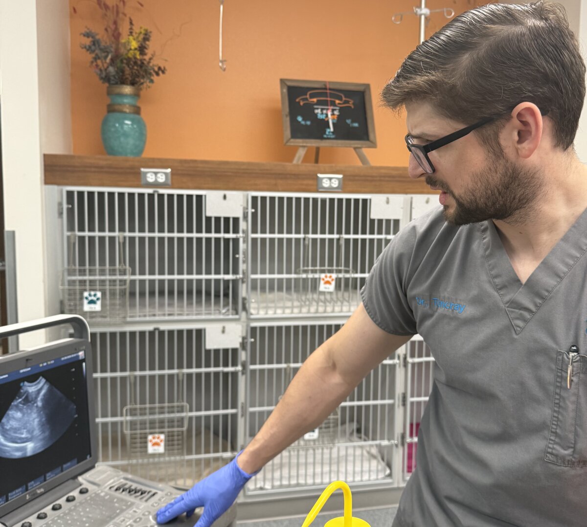 Brian Toncray, DVM performing a FAST ultrasound scan in the emergency treatment area
